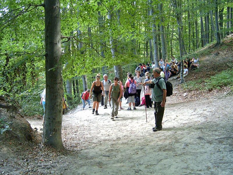 szate 2011.09.17 (082).jpg